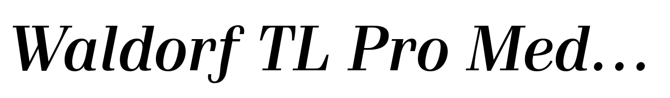 Waldorf TL Pro Medium Italic